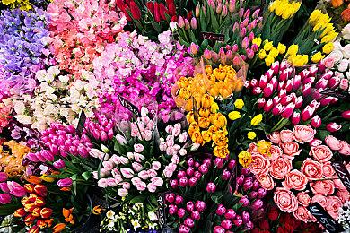 《最终幻想起源：天堂的陌生人》最新战斗展示